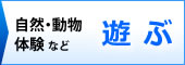 富士宮市の自然・動物・体験学習などで遊ぶ